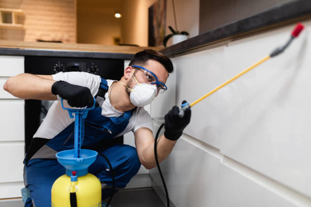 Best Pest Prevention Services  in Rockdale, TX