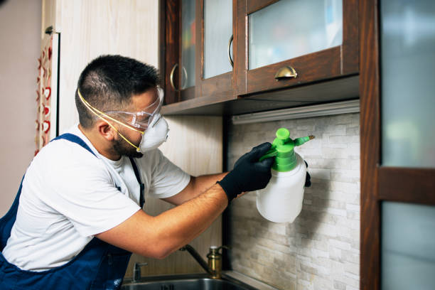 Best Termite Control Services  in Rockdale, TX