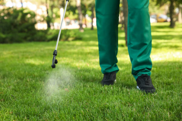 Best Spider Control Near Me  in Rockdale, TX