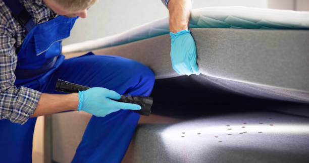 Best Exterminator Services  in Rockdale, TX