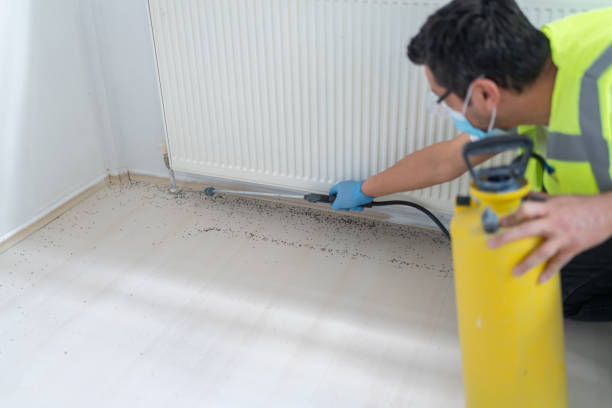 Pest Control for Restaurants in Rockdale, TX