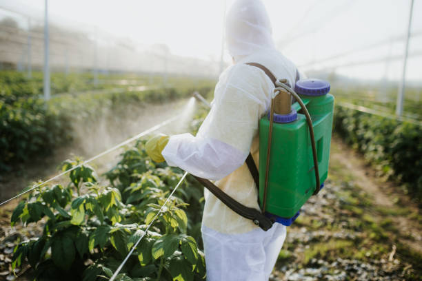 Wildlife Control Services in Rockdale, TX